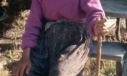 Hayvanlarını otlatmaya gidip kayboldu