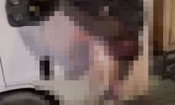 Kamyonet ile otomobil çarpıştı: 1'i ağır 3 yaralı