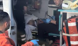 Kontrolden çıkan otomobil ağaca çarptı: 2 yaralı