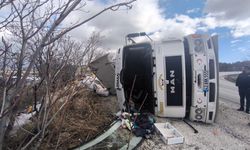 Kontrolden çıkan TIR devrildi