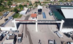 Mersin e komşu Korkuteli hayvan pazarı yeniden açılacak