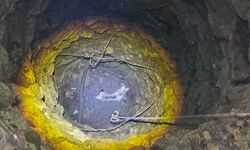 Kuyuya düşen oğlak kurtarıldı