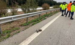 Otomobil, kaza sonrası yolda temizlik yapan işçilere çarptı: 1 ölü, 3 yaralı