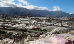 Özdemir'den afetzede çiftçilere geçmiş olsun ziyareti