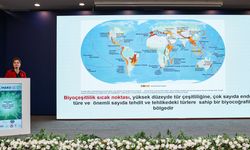 Ramsar Sulak Alanları Çalıştayı yapıldı