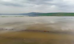 Reyhanlı Barajı'na gelen su, üreticileri sevindirdi