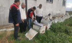 Sağanağın ardından tarım alanlarında inceleme