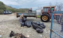 Sahillerde temizlik çalışması