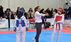 Taekwondo okul sporları il seçmeleri Osmaniye'de tamamlandı
