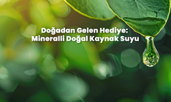 Doğadan Gelen Hediye: Mineralli Doğal Kaynak Suyu