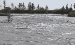 Tarsus’ta Tarım Arazileri Sular Altında Kaldı