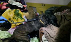 Adana'da 335 bin uyuşturucu hap ele geçirildi; 10 gözaltı