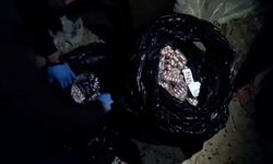 Adana'da 'torbacı' operasyonunda 2 tutuklama