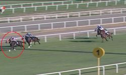 Adana'da yarış atı kavurma yapılan iş insanına da 132 bin TL ceza kesildi