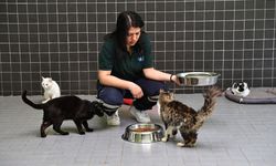 Antalya Büyükşehir'de 3 bin kadın personel