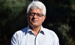 Antalya Körfezi'nde poyraz etkili oldu, denizanaları kıyıya sürüklendi