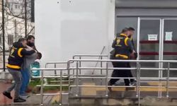 Atlara koşmadığı için şiddet uygulayan şüphelilere hayvan barınağında çalışma cezası