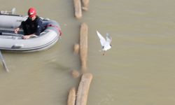 Ayağına misina dolanan martıyı itfaiye eri kurtardı