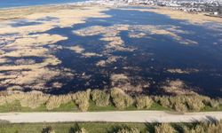 Baharın gelişiyle Milleyha canlandı