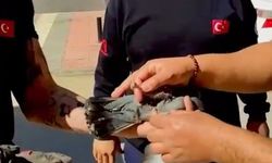 Balkon filesine takılan güvercin kurtarıldı