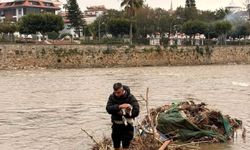 Çayda mahsur kalan kediyi vatandaş kurtardı
