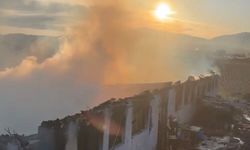 Çiftlik yangınında çok sayıda hayvan telef oldu