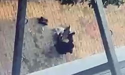 Çocuklarının gözü önünde eski eşi tarafından tabancayla bacaklarından vuruldu