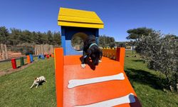 Duacı Mahallesi'nde Pati Park hizmet açıldı