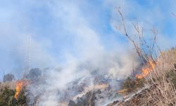 Hatay'da bahçe yangını söndürüldü