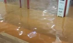 Hatay'da kuvvetli yağış günlük yaşamı etkileri: Çoban kuzuları son anda kurtardı