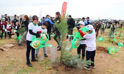 İlkokul öğrencileri fidanları toprakla buluşturdu