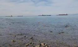 İskenderun'da deniz suyu çekildi