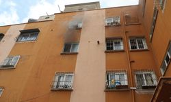 İtfaiye ekipleri yangında hamile kediyi kurtardı