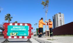 Mersin'de ağaçlandırma kampanyası