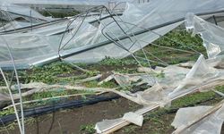 Mersin'de dolu ve fırtına seraları vurdu