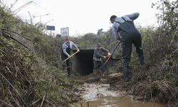 Mersin'de haşere mücadelesi sürüyor