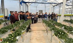 Öğrenciler topraksız tarım tesisini gezdi