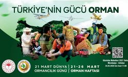 Orman Haftası etkinliği 24 Mart'ta