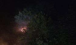Orman yangını büyümeden söndürüldü