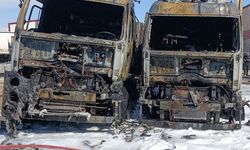 Park halindeki 2 TIR'da yangın