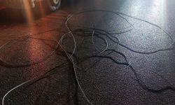 Rüzgar ağacı devirdi, elektrik telleri koptu