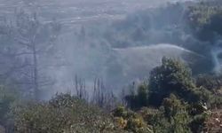 Samandağ'da orman yangını kontrol altına alındı