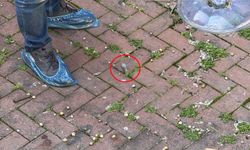 Tartıştığı butik sahibine pompalı tüfekle saldırdı: 3 yaralı