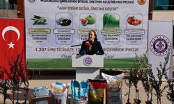 Üreticilere tohum ve fidan dağıtıldı