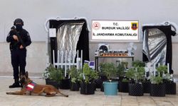 Uyuşturucu operasyonuna 1 tutuklama