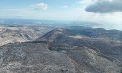 Mersin in Silifke ilçesinde Yanan sahalarda ilk çimlenmeler görüldü