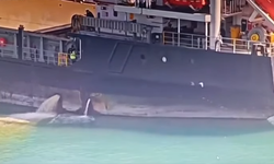 Mersin’de Dev Gemiye 13 Milyon TL Ceza