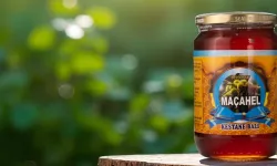 Anzer Balının Saklama Koşulları: Doğallığını ve Kalitesini Nasıl Korursunuz?