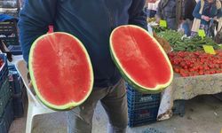 Sezonun İlk Karpuzu Tezgahta: Dilim Dilim Satılıyor, Kilosu 50 TL