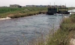 16 yıl önce sevgilisiyle öldürülen hostes Jale'nin annesi: Kızımın katilini istiyorum